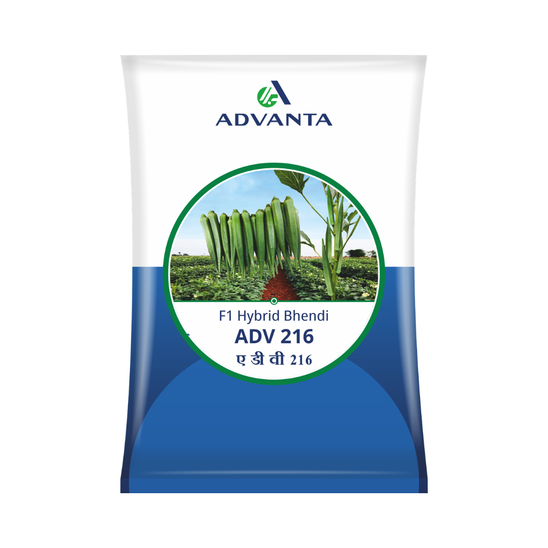 ADV 216 Bhendi Seeds - Advanta | F1 Hybrid | Buy Online at Best Price