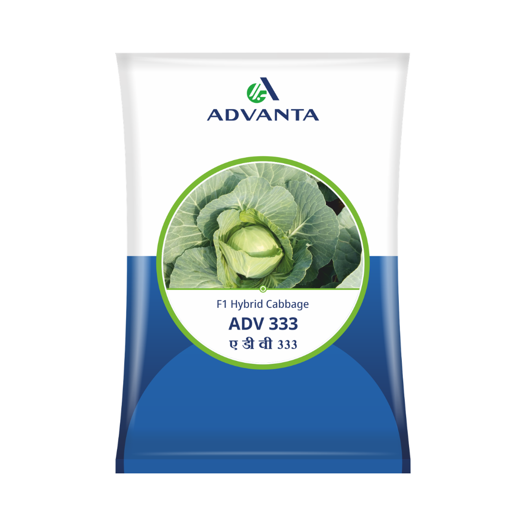 ADV 333 Cabbage Seeds - Advanta | F1 Hybrid | Buy Online at Best Price