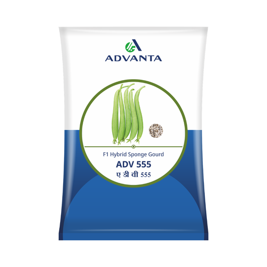 ADV 555 Sponge Gourd Seeds - Advanta | F1 Hybrid | Buy Online at Best Price