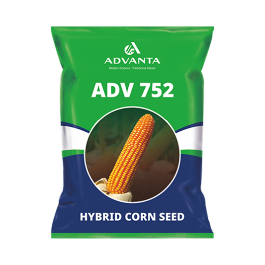 ADV 752 Maize Seeds