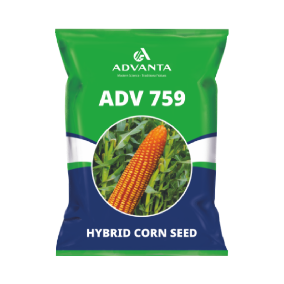 ADV 759 Corn Seeds - Advanta | F1 Hybrid | Buy Online at Best Price