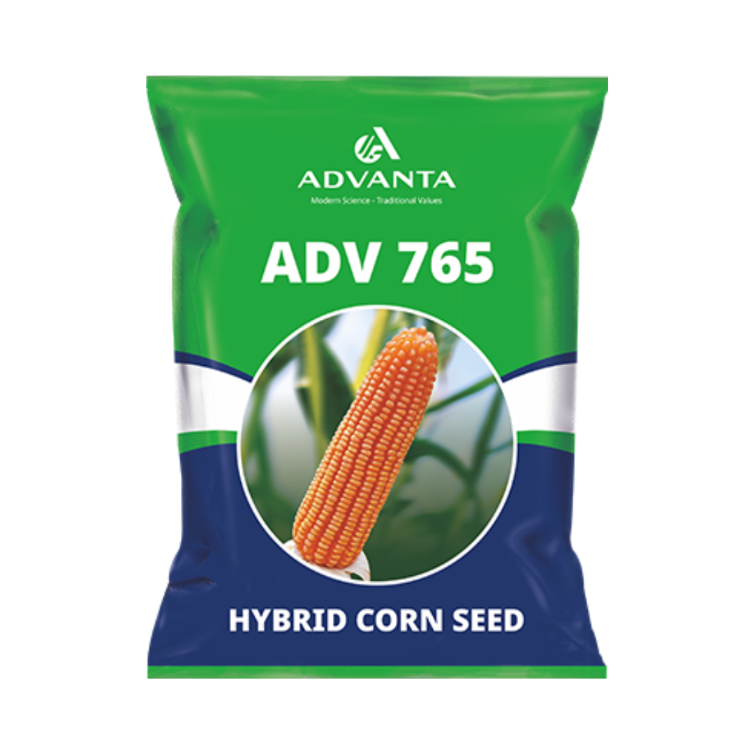 ADV 765 Corn Seeds - Advanta | F1 Hybrid | Buy Online at Best Price