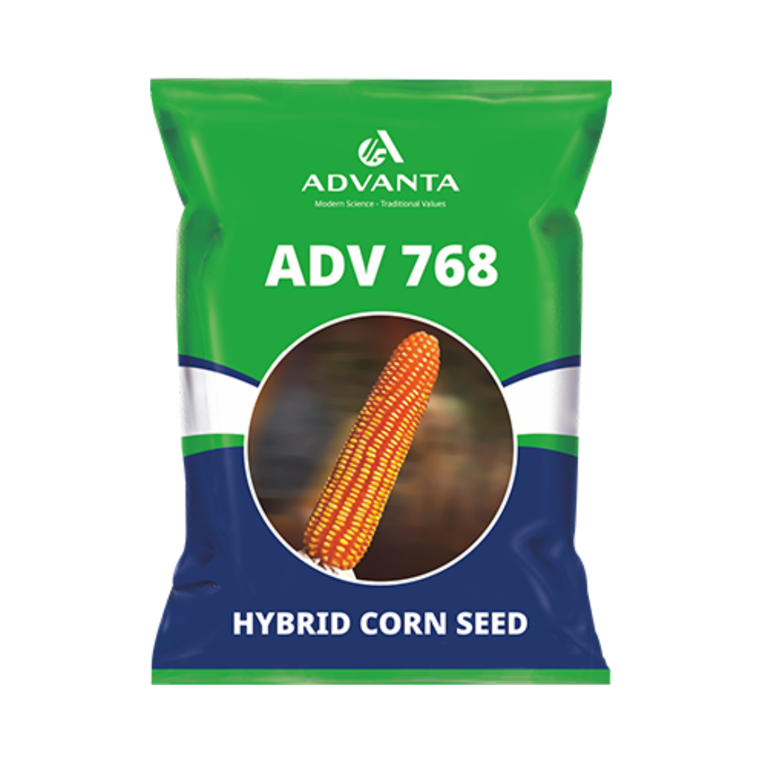 PAC 768 Corn Seeds - Advanta | F1 Hybrid | Buy Online at Best Price