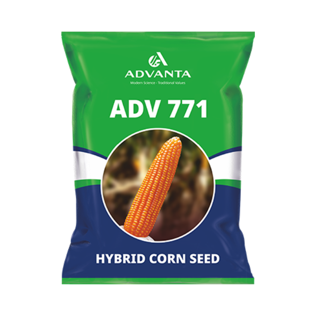 ADV 771 Corn Seeds - Advanta | F1 Hybrid | Buy Online at Best Price