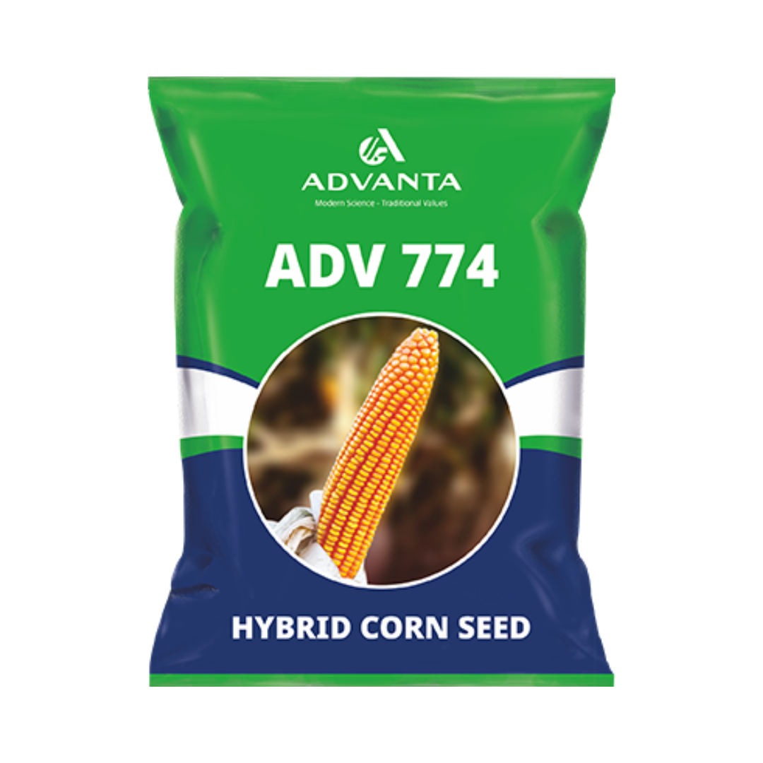ADV 774 Corn Seeds - Advanta | F1 Hybrid | Buy Online at Best Price