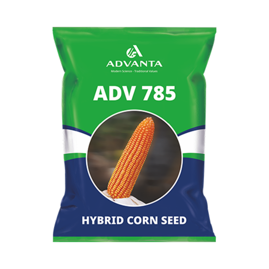 ADV 785 Corn Seeds - Advanta | F1 Hybrid | Buy Online at Best Price