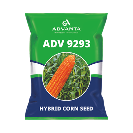 ADV 9293 Corn Seeds - Advanta | F1 Hybrid | Buy Online at Best Price