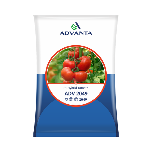 ADV 2049 Tomato Seeds - Advanta | F1 Hybrid | Buy Online at Best Price