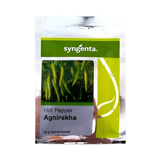 Agnirekha Chilli Seeds - Syngenta | F1 Hybrid | Buy Online at Best Price