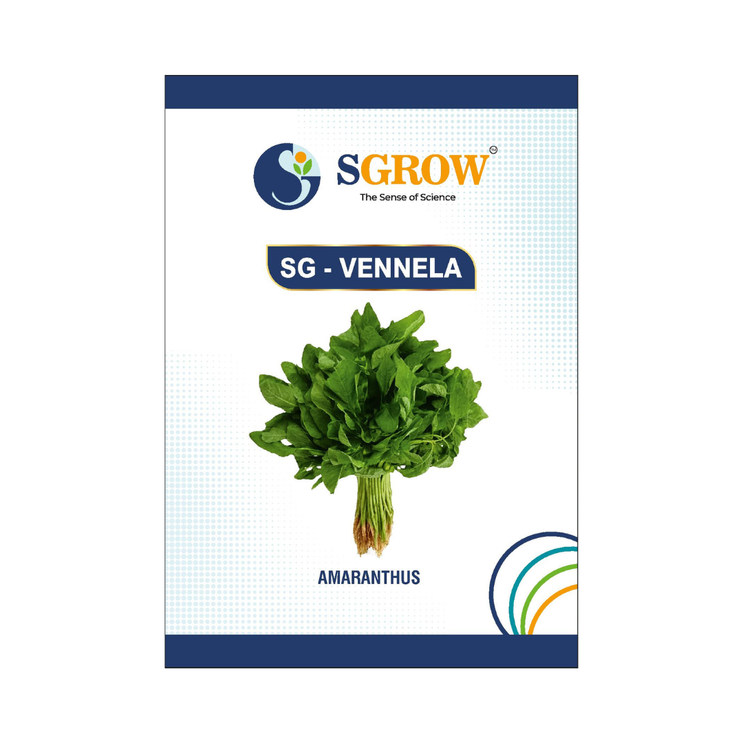 SG-Vennela Amaranthus Seeds - SGrow | Buy Online at Best Price Now