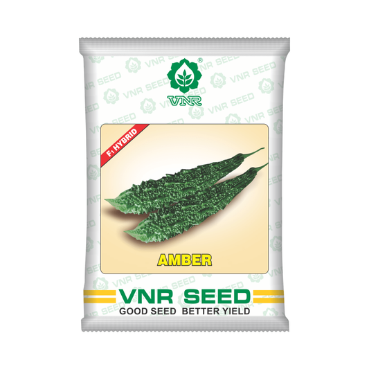 Amber Bitter Gourd Seeds - VNR | F1 Hybrid | Buy Online at Best Price