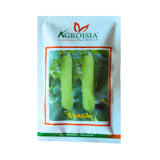 Anaga Bottle Gourd Seeds - Agroisia | F1 Hybrid | Buy Online at Best Price