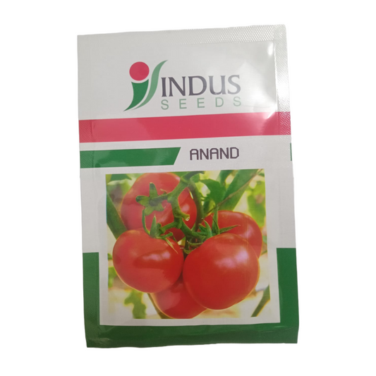 Anand Tomato Seeds - Indus | F1 Hybrid | Buy Online at Best Price
