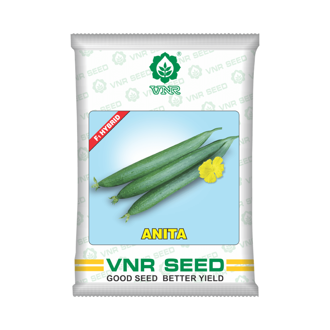 Anita Sponge Gourd Seeds - VNR | F1 Hybrid | Buy Online at Best Price