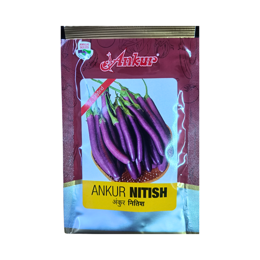 Nitish Brinjal Seeds