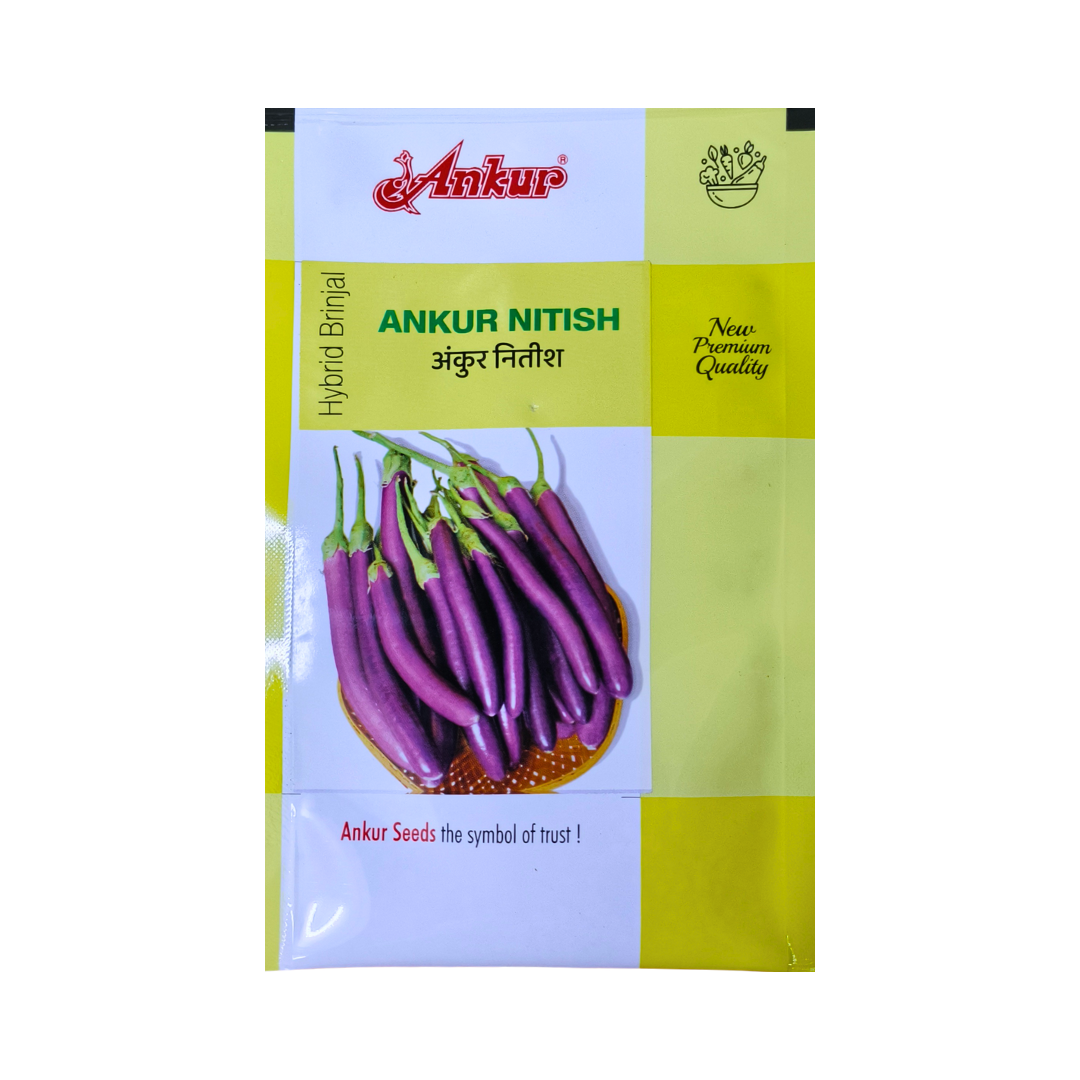 Nitish Brinjal Seeds - Ankur | Buy Online at Best Price – Desikheti