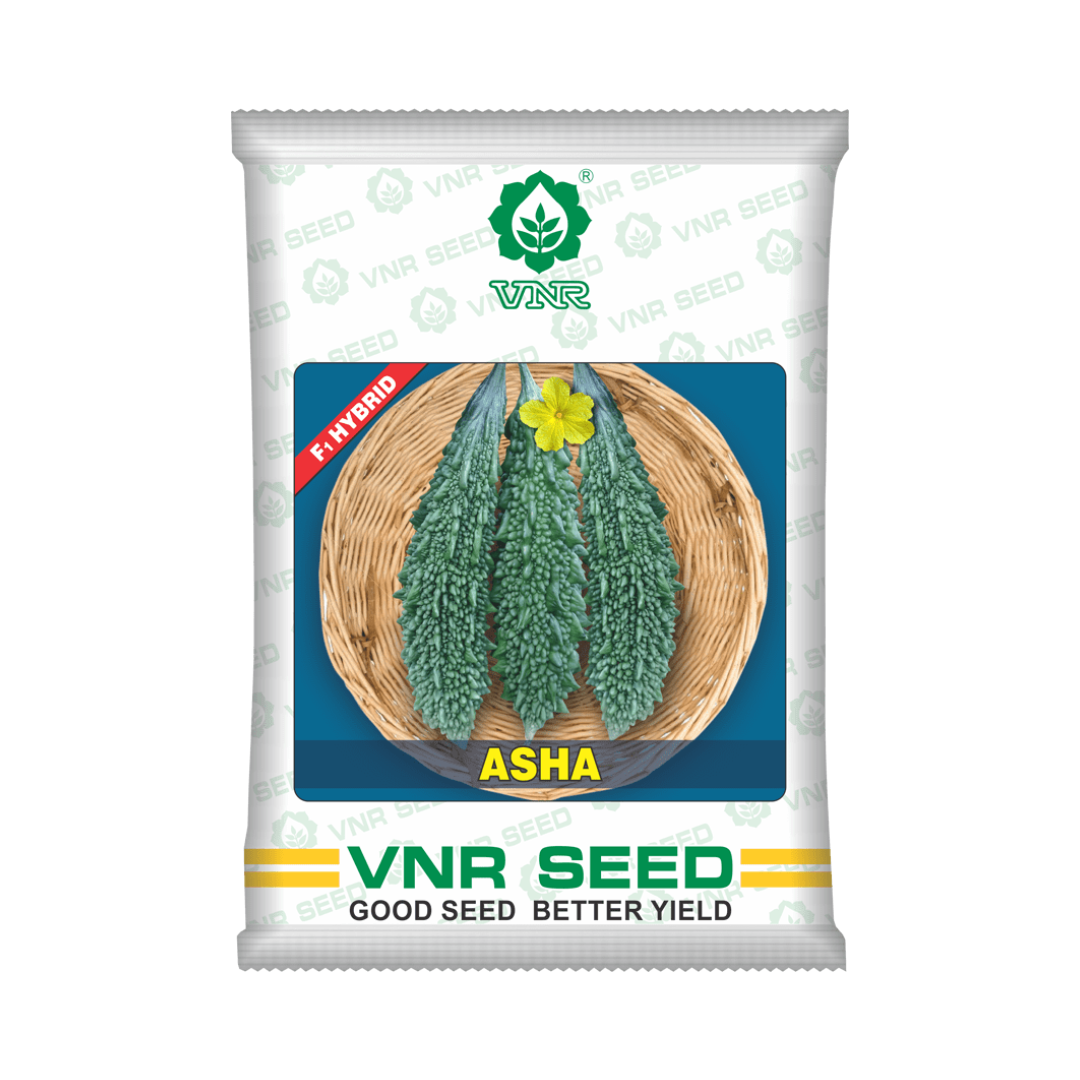 Asha Bitter Gourd Seeds - VNR | F1 Hybrid | Buy Online at Best Price