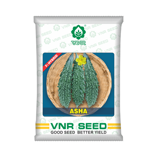 Asha Bitter Gourd Seeds - VNR | F1 Hybrid | Buy Online at Best Price