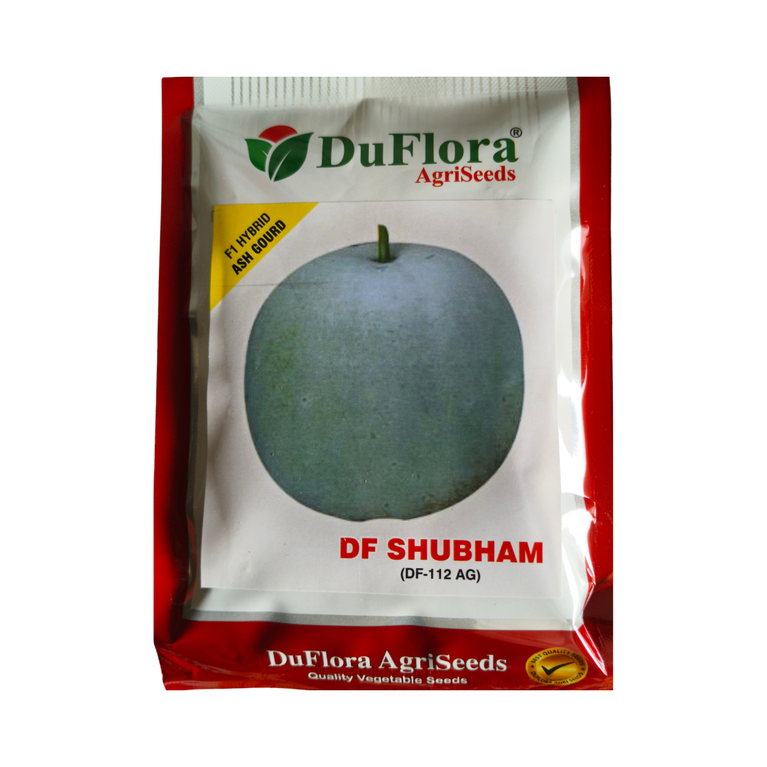 DF Shubham Ash Gourd Seeds - DuFlora | F1 Hybrid | Buy Online Now