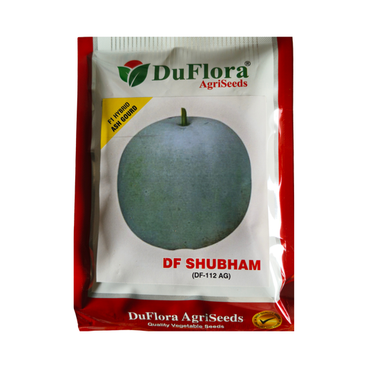 DF Shubham Ash Gourd Seeds - DuFlora | F1 Hybrid | Buy Online Now