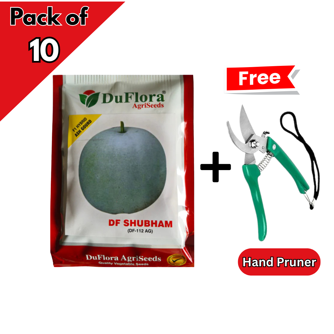 DF Shubham Ash Gourd Seeds