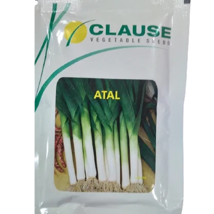 Atal Leek Spring Cut Bunching Onion Seeds | Buy Online At Best Price