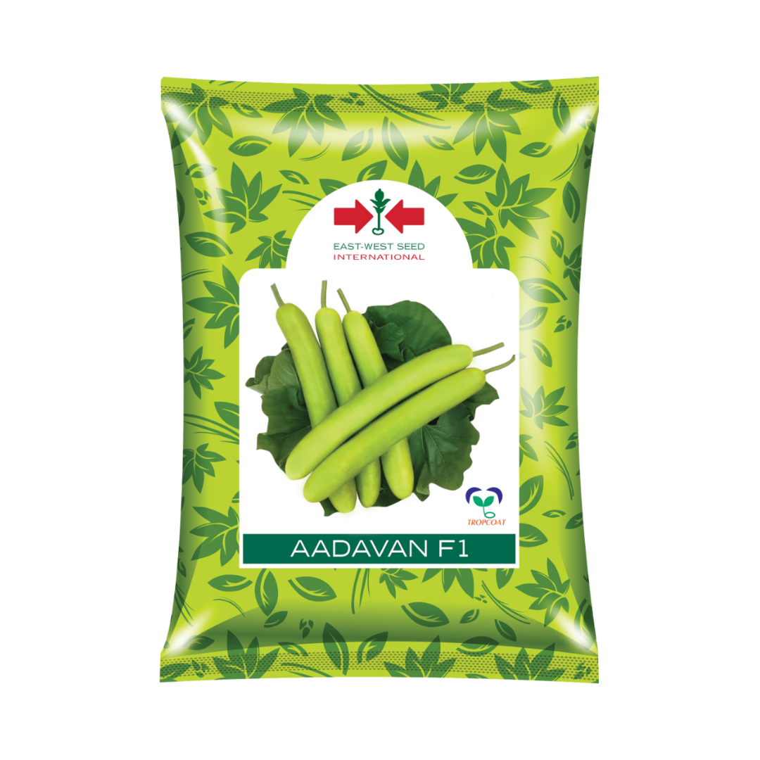 Aadavan Bottle Gourd Seeds - East West | F1 Hybrid | Buy Online Now