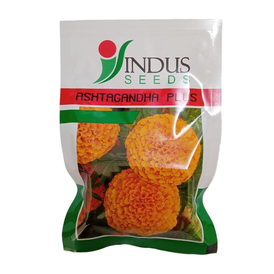 Ashtagandha Plus Marigold Seeds - Indus | F1 Hybrid | Buy Online at Best Price