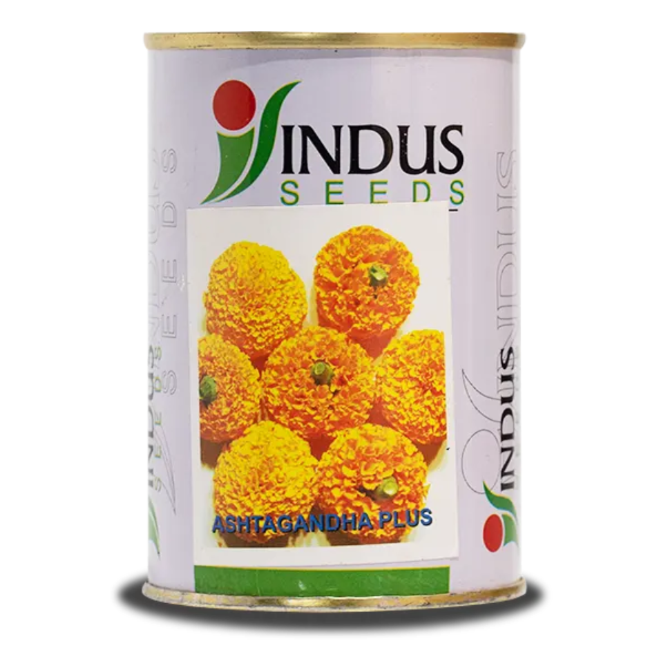 Ashtagandha Plus Marigold Seeds - Indus | F1 Hybrid | Buy Online at Best Price