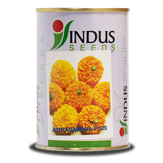 Ashtagandha Plus Marigold Seeds - Indus | F1 Hybrid | Buy Online at Best Price