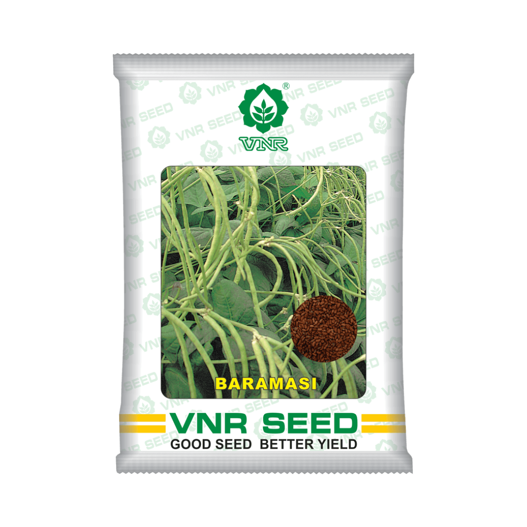 Baramasi Cowpea Seeds - VNR | F1 Hybrid | Buy Online at Best Price Now