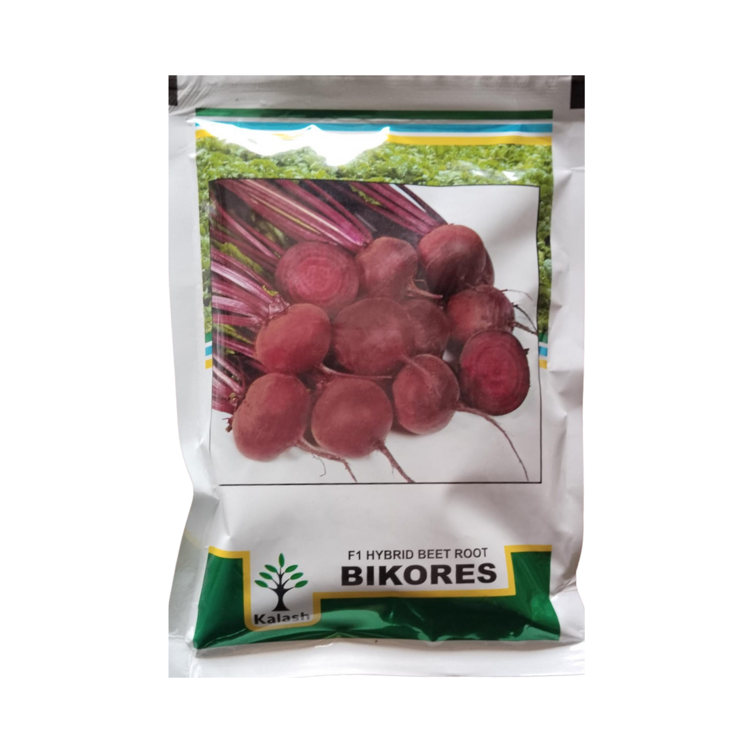 Bikores Beetroot Seeds - Kalash | F1 Hybrid | Buy Online at Best Price