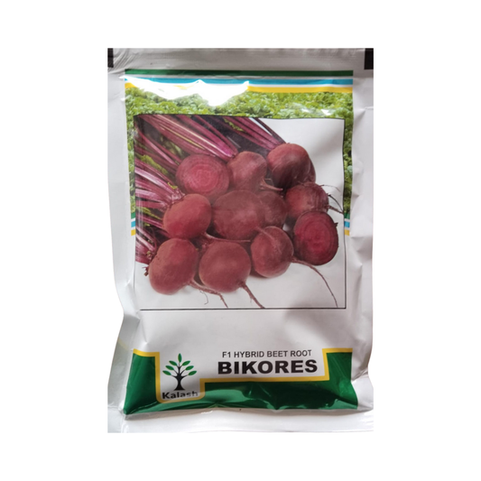Bikores Beetroot Seeds - Kalash | F1 Hybrid | Buy Online at Best Price