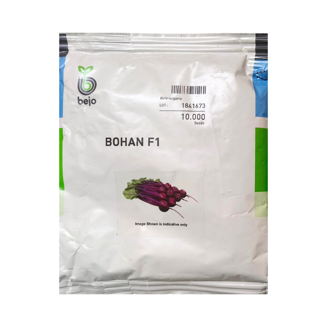 Bohan Beetroot Seeds - Bejo | F1 Hybrid | Buy Online at Best Price Now