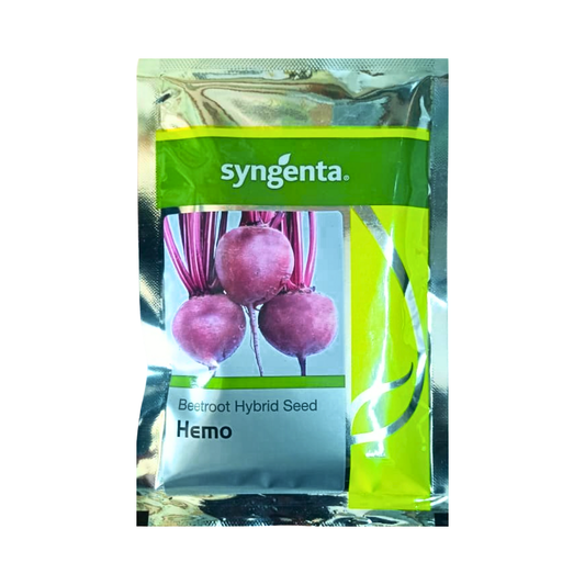 Hemo Beetroot Seeds - Syngenta | F1 Hybrid | Buy Online Now - DesiKheti