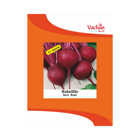 Rubellite Beetroot Seeds - Vachan Seeds | F1 Hybrid | Buy Online Now