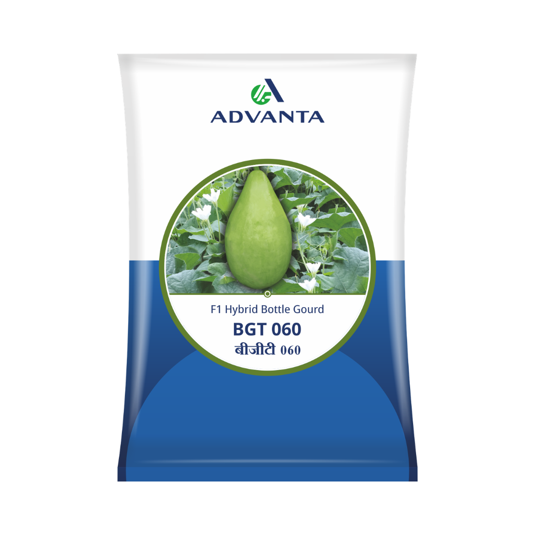 BGT 060 Bottle Gourd Seeds - Advanta | F1 Hybrid | Buy Online Now