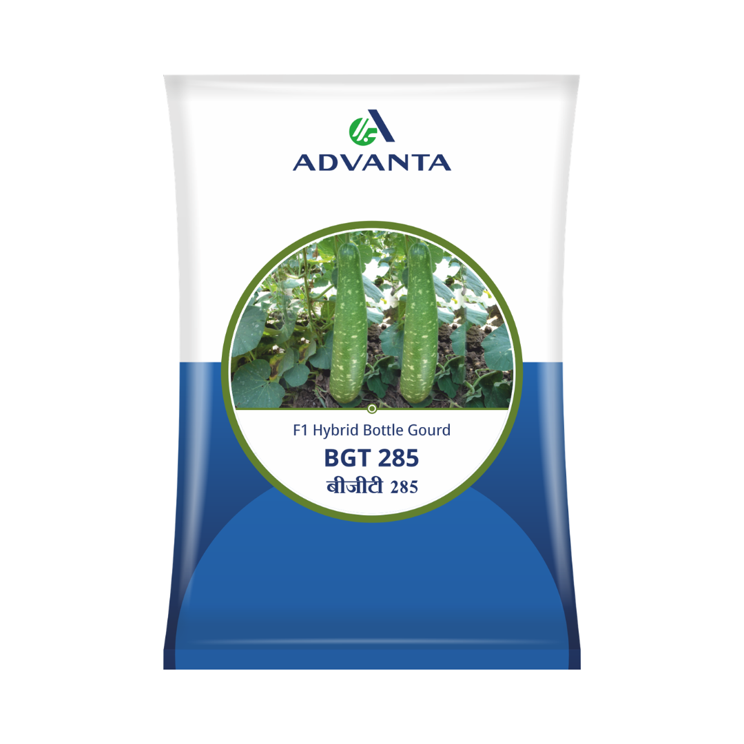 BGT 285 Bottle Gourd Seeds - Advanta | F1 Hybrid | Buy Online Now