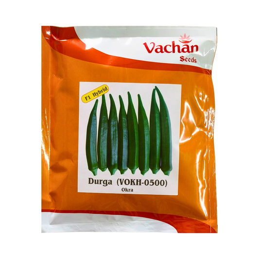 Durga (VOKH-0500) Bhendi Seeds - Vachan | F1 Hybrid | Buy online - DesiKheti