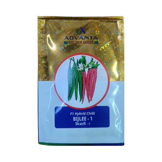 Bijlee-1 Chilli Seeds - Advanta | F1 Hybrid | Buy Online at Best Price