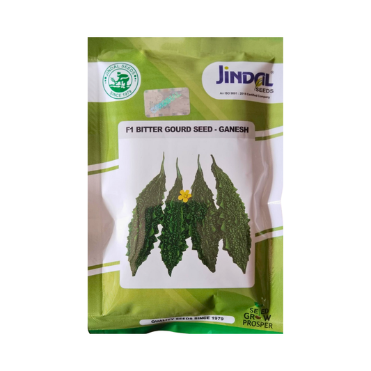 Ganesh Bitter Gourd Seeds - Jindal Seeds | F1 Hybrid | Buy Online Now