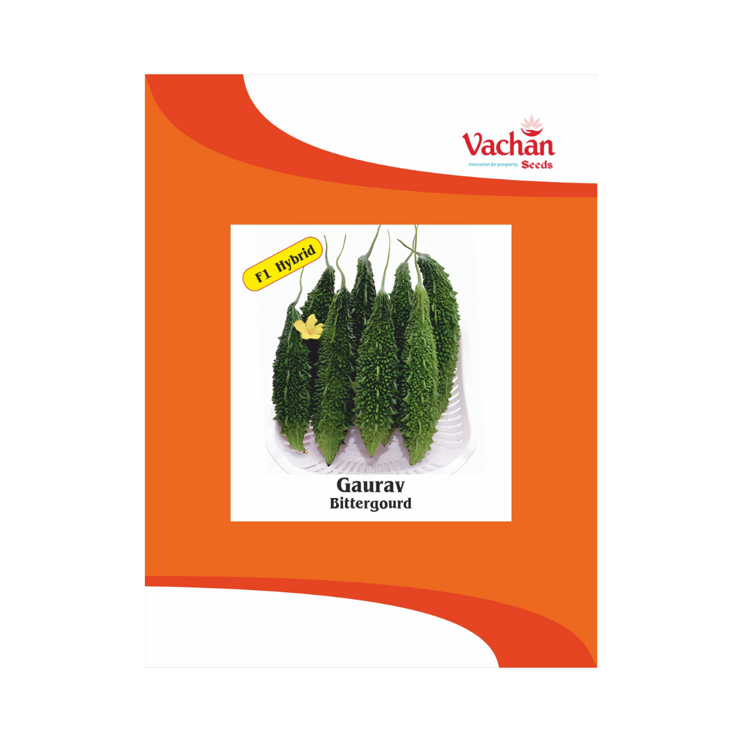 Gaurav Bitter Gourd Seeds - Vachan | F1 Hybrid | Buy Online Now