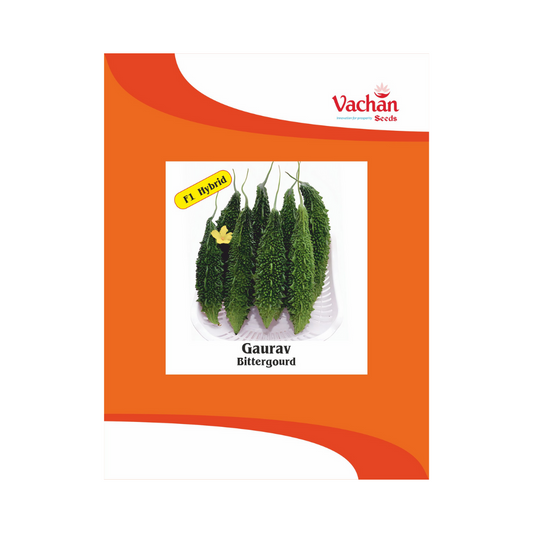 Gaurav Bitter Gourd Seeds - Vachan | F1 Hybrid | Buy Online Now