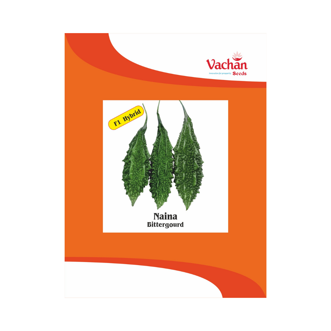 Naina Bitter Gourd Seeds - Vachan | F1 Hybrid | Buy Online Now