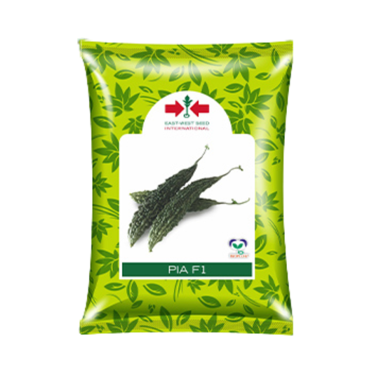 Pia Bitter Gourd Seeds - East West | F1 Hybrid | Buy Online Now