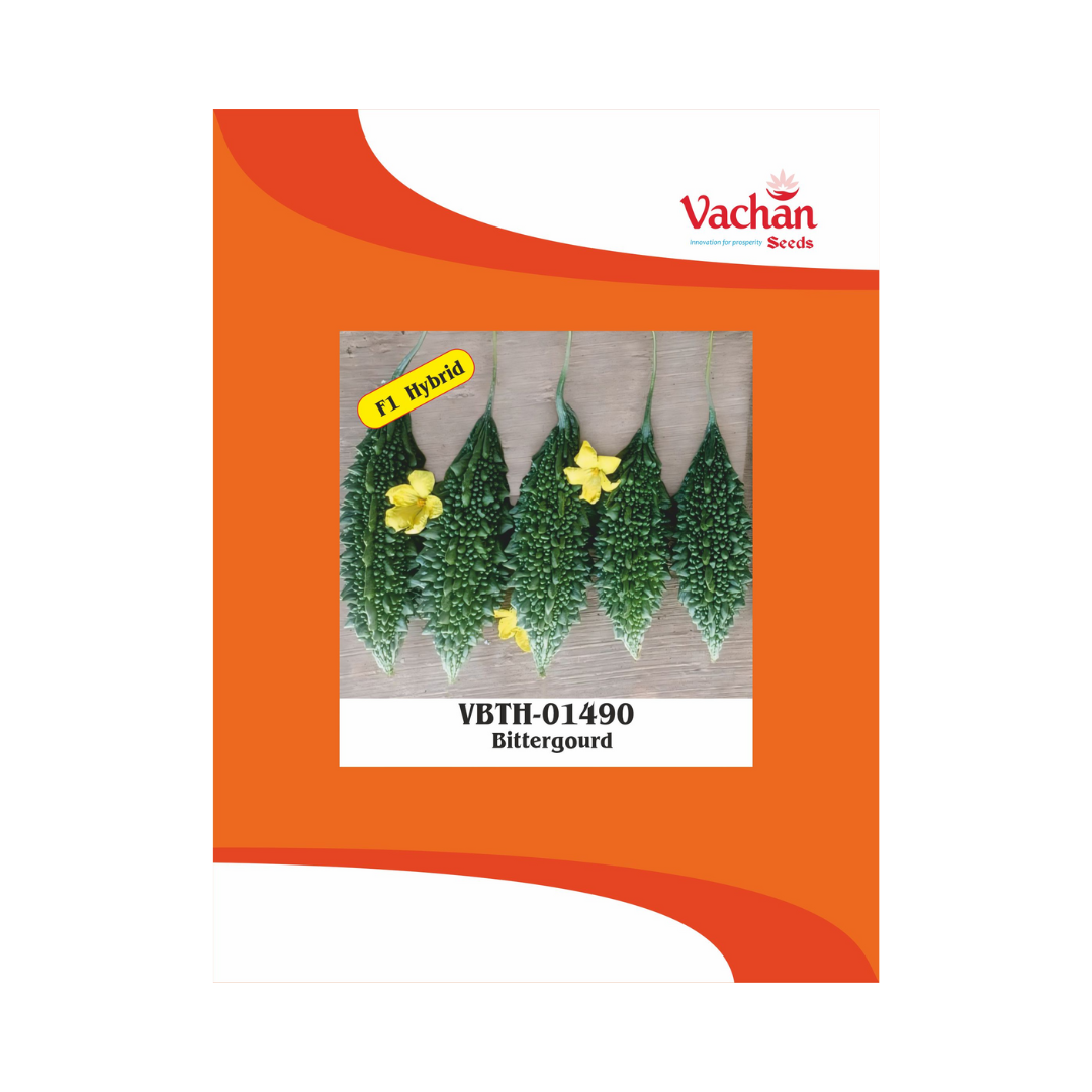 VBTH-01490 Bitter Gourd Seeds - Vachan | F1 Hybrid | Buy Online Now