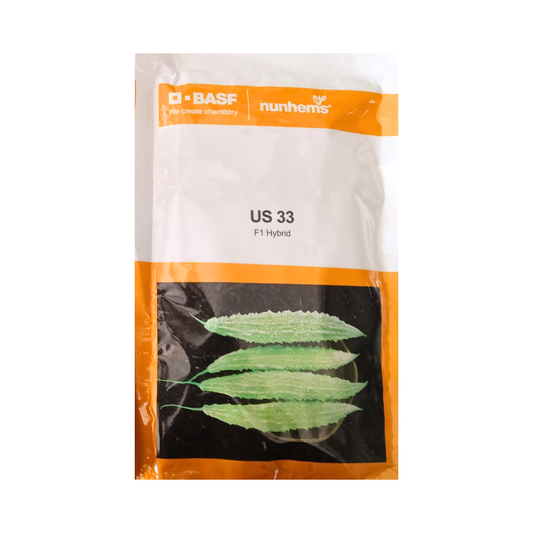 US 33 Bitter Gourd Seeds - Nunhems | F1 Hybrid | Buy Online at Best Price
