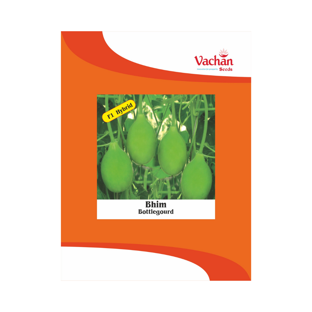 Bhim Bottle Gourd Seeds - Vachan | F1 Hybrid | Buy Online Now - DesiKheti