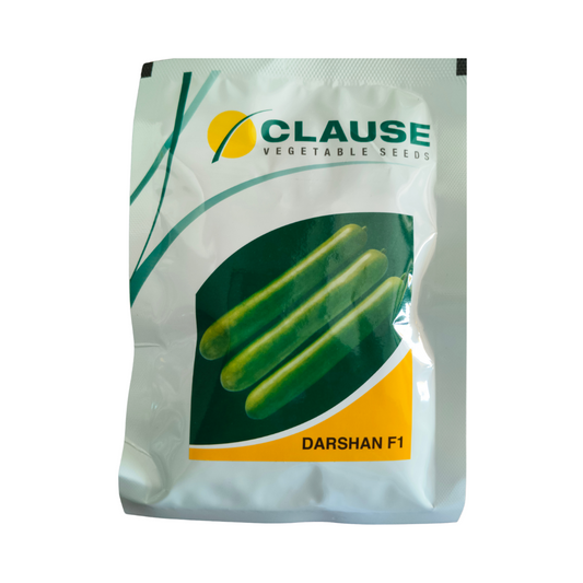 Darshan Bottle Gourd Seeds - HM Clause | F1 Hybrid | Buy Online Now