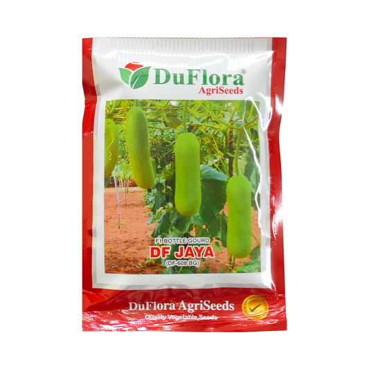 DF Jaya Bottle Gourd Seeds - Duflora | Buy Online Now - DesiKheti